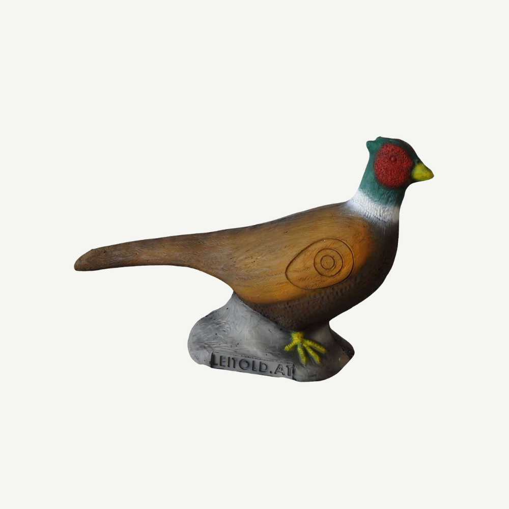 100205 Leitold Pheasant