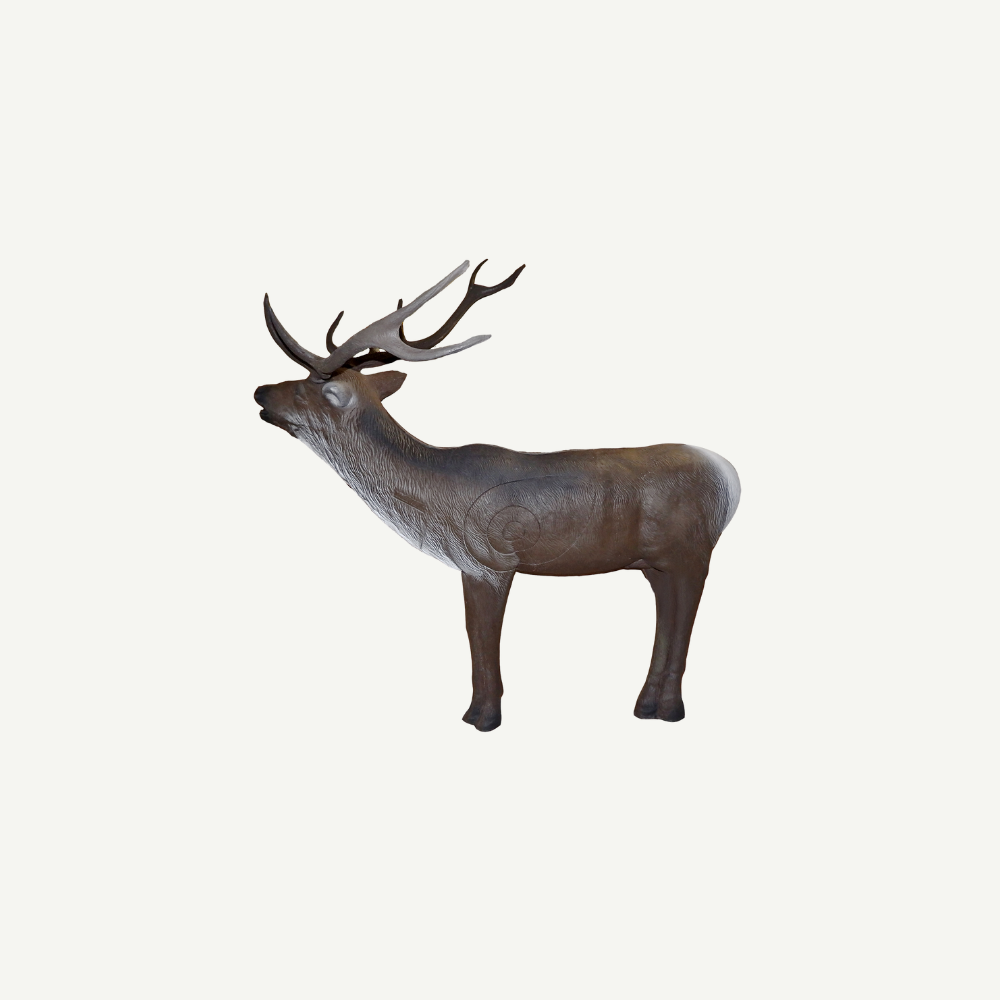 100206 Leitold Red Deer