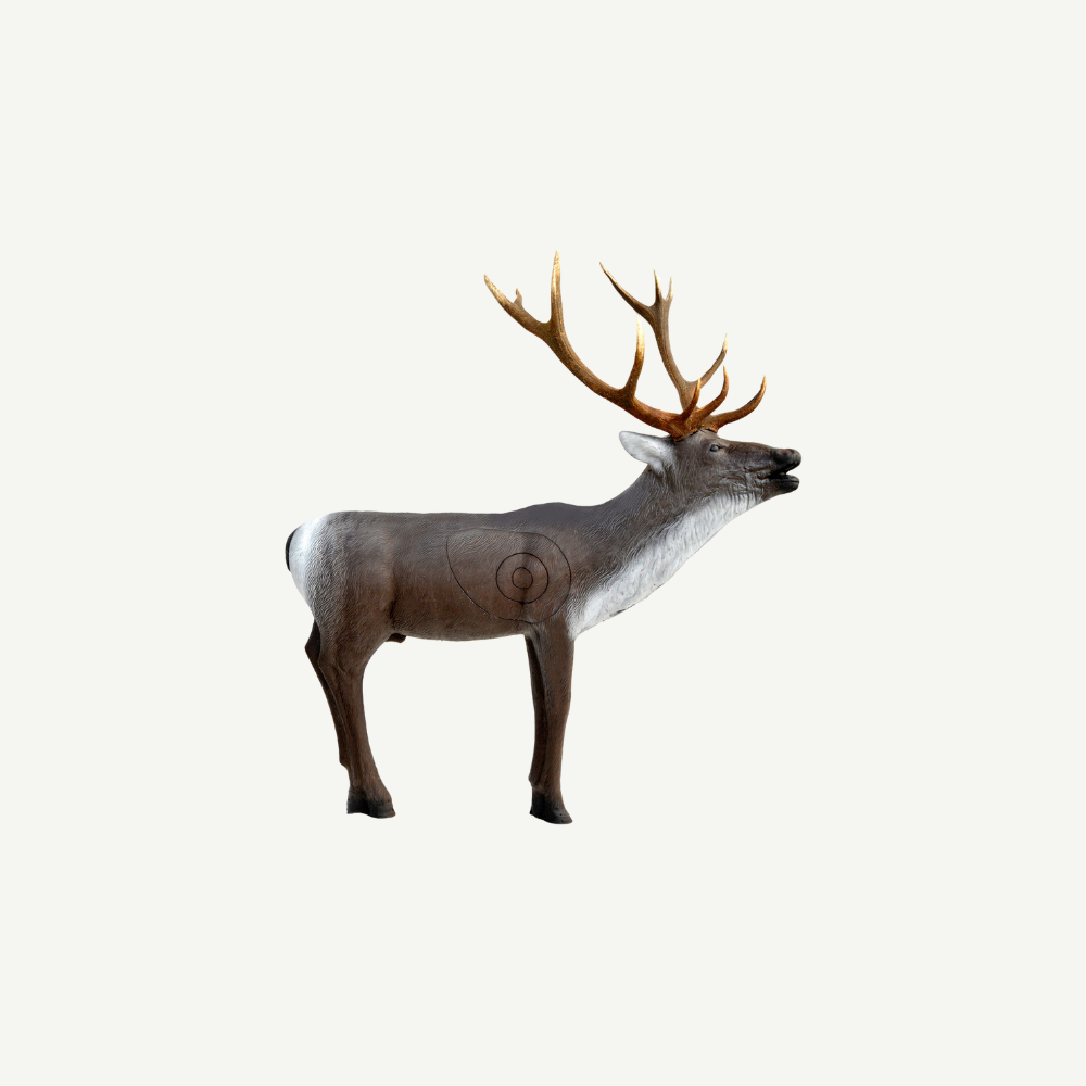 100206 Leitold Red Deer