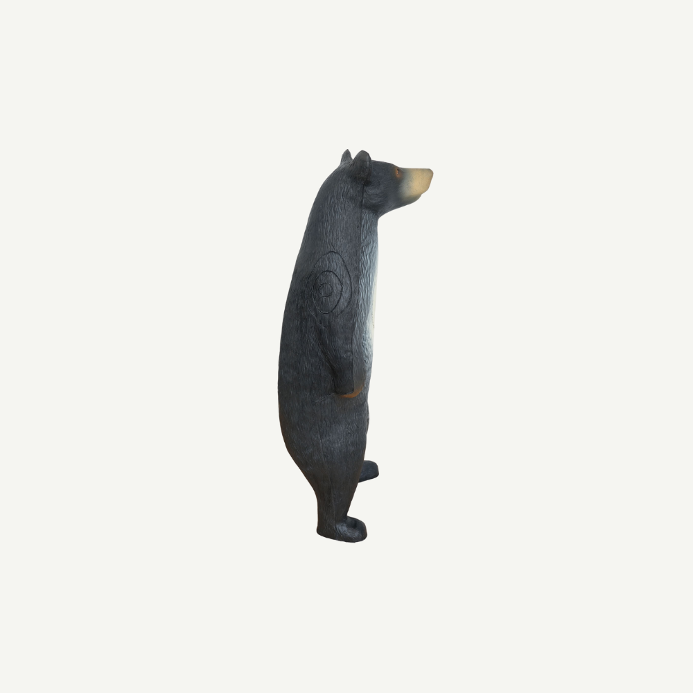 100215 Leitold Black Bear