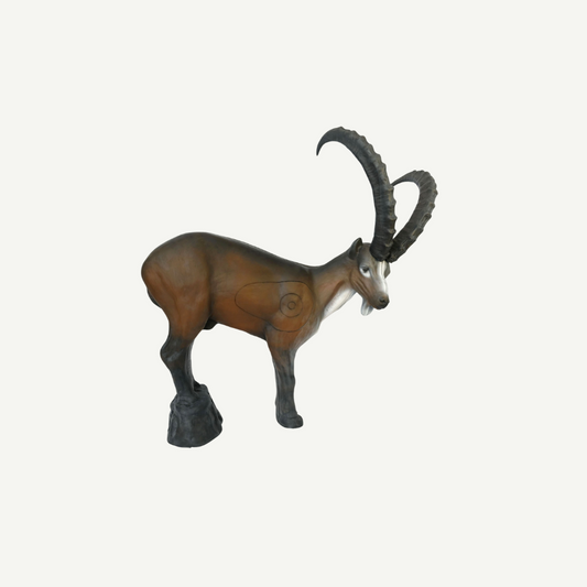 100219 Leitold Ibex