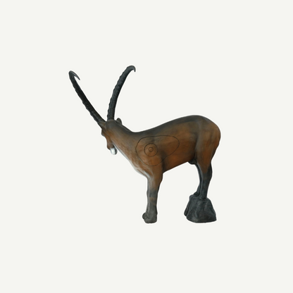 100219 Leitold Ibex