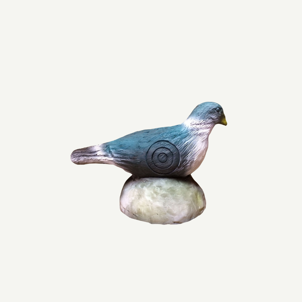 100223 Leitold Pigeon