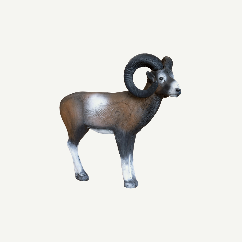 100228 Leitold Standing Mouflon