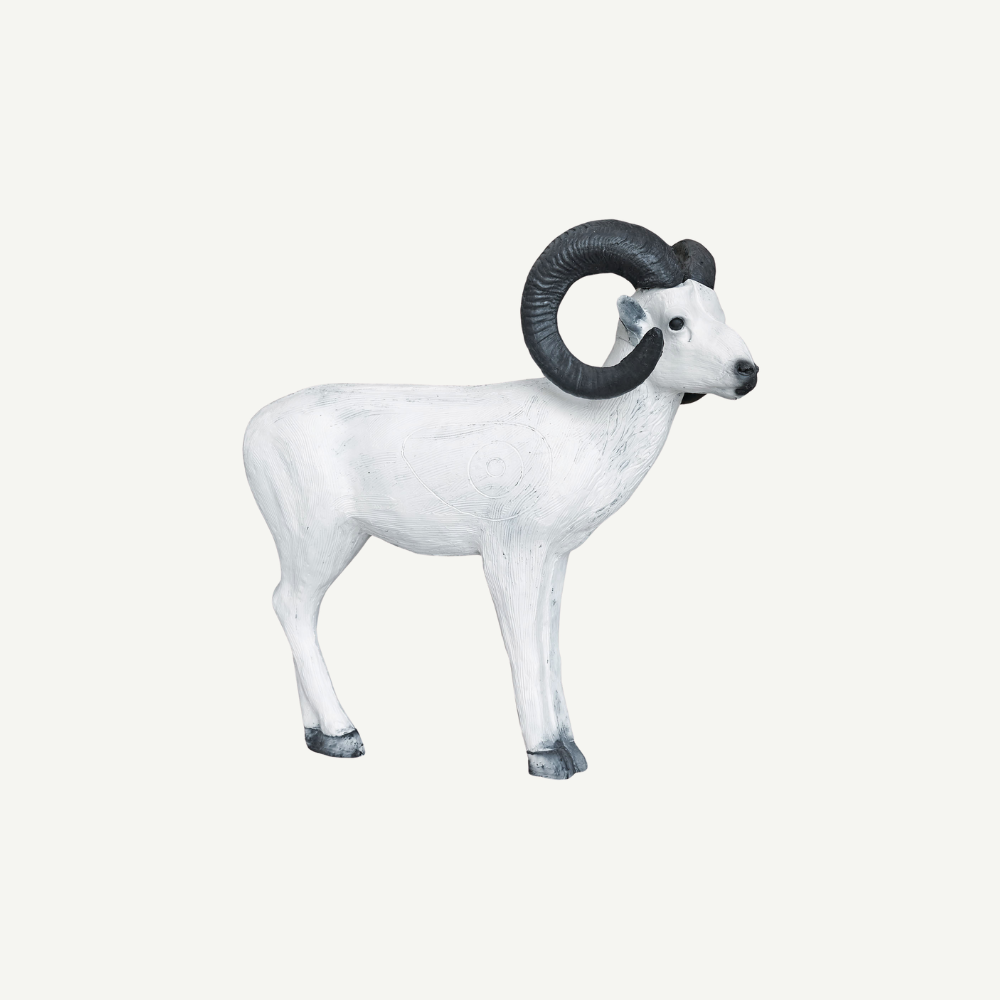 100241 Leitold Standing Dall Sheep