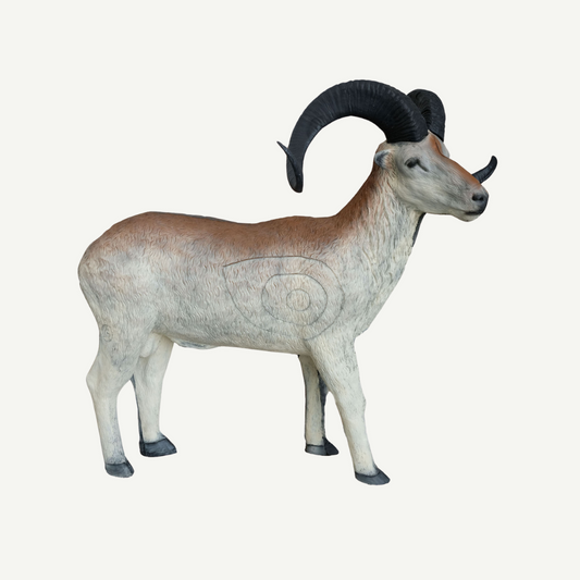 100275 Leitold Marco Polo Sheep