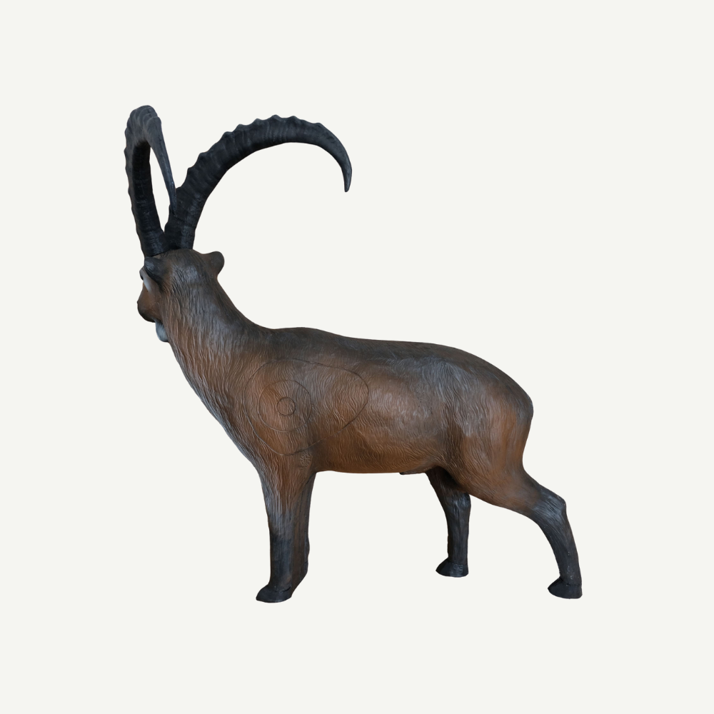 100327 Leitold Alpine Ibex