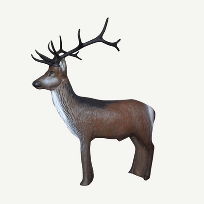 100340 Leitold Standing Red Deer