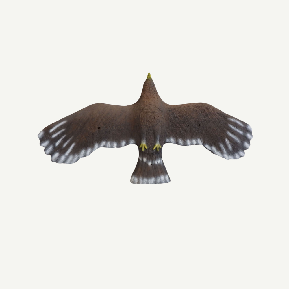 100352 Leitold Flying Golden Eagle