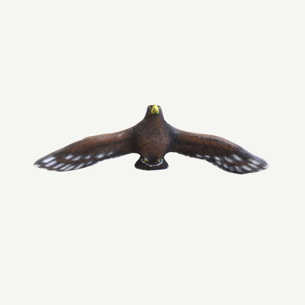 100352 Leitold Flying Golden Eagle