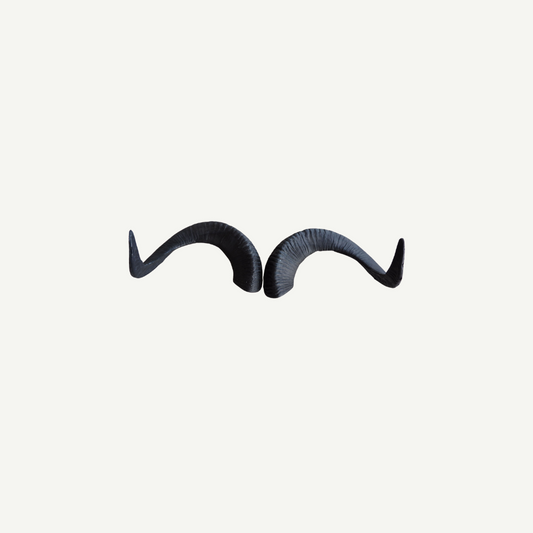 100561 Leitold Marco Polo Horns (1 Pair)