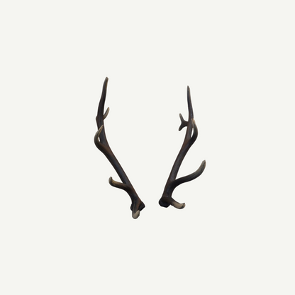 100565 Leitold Red Deer Antler (1 Pair)