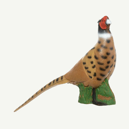 100935 IBB 3D Animal Noble Pheasant