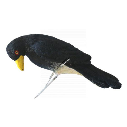 101028 Wildcrete 3D Target - Oxpecker Red/Yellow