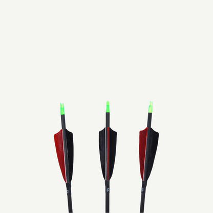 Penthalon Carbon Arrows 40812 Traditonal Black Natural Feathers