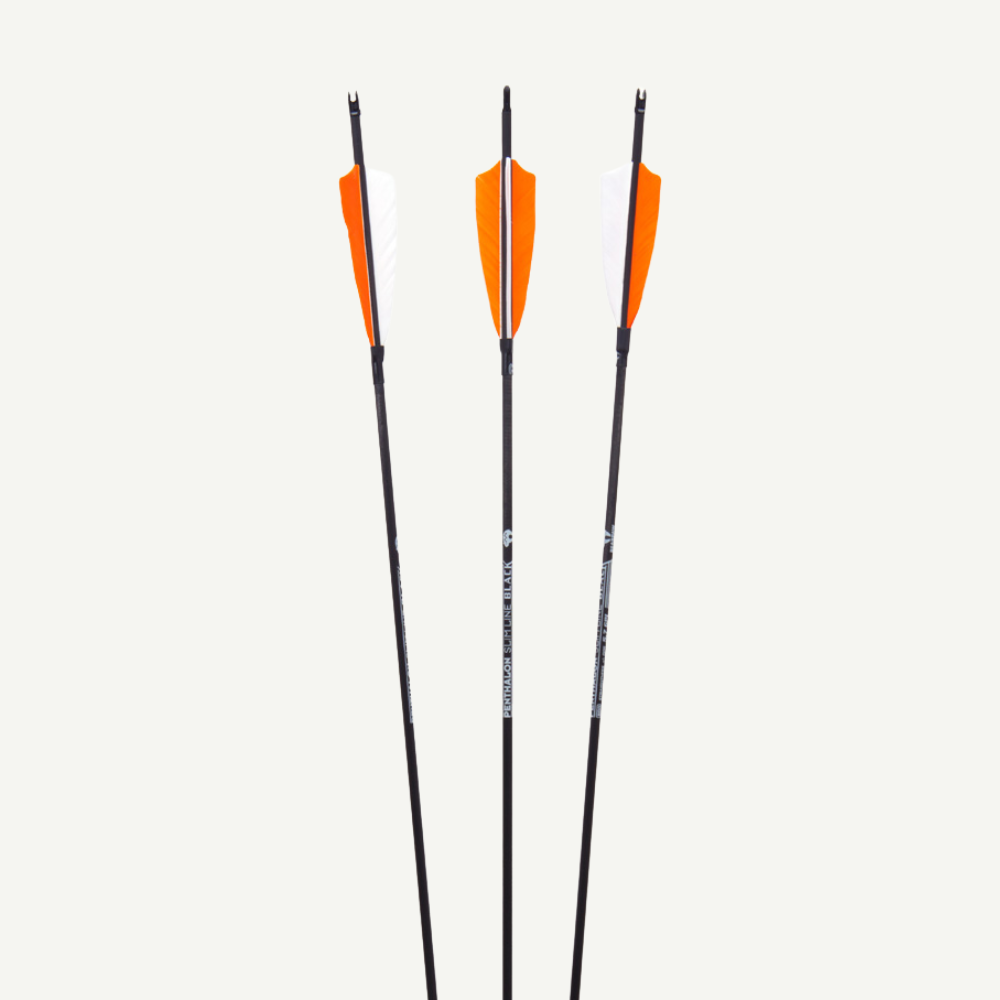 Penthalon Carbon Arrows 40820 Slim Line Black Natural Feathers