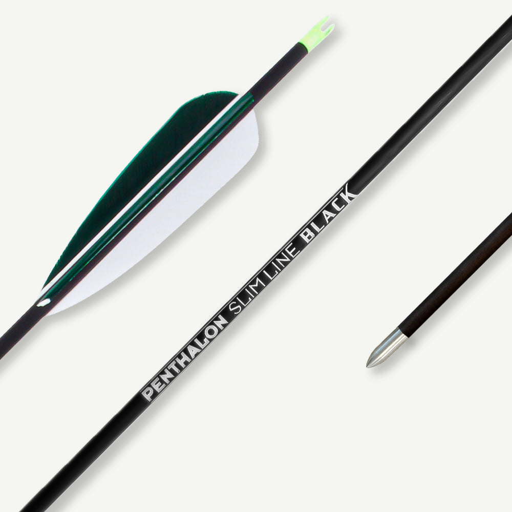 Penthalon Carbonpfeile Slim Line Black Naturfedern Color Edition