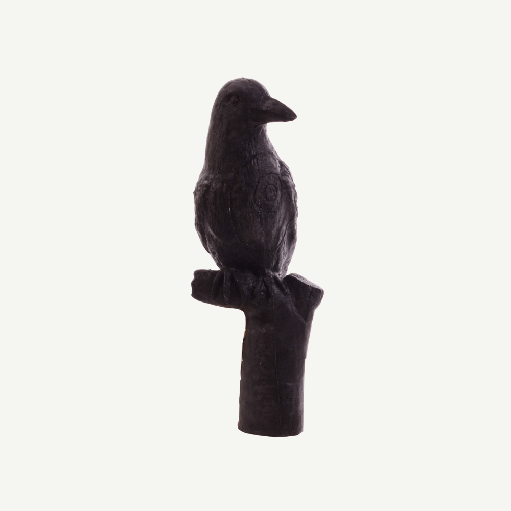 100461 IBB 3D Target carrion crow